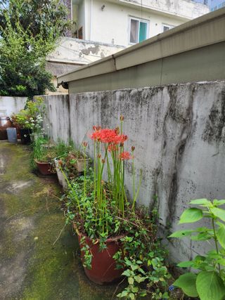 조정권님의 윷놀이 끝! 어떠셨나요? · 참여글 작성글 사진