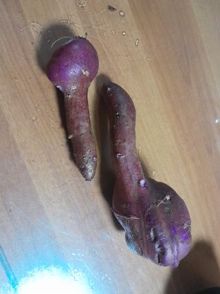 강 찬규님의 윷놀이 끝! 어떠셨나요? · 참여글 작성글 사진