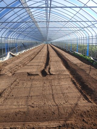 콩나라최여순님의 기타작물 · 자유게시판 작성글 사진