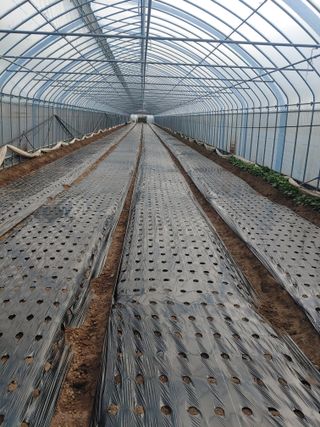 콩나라최여순님의 기타작물 · 자유게시판 작성글 사진