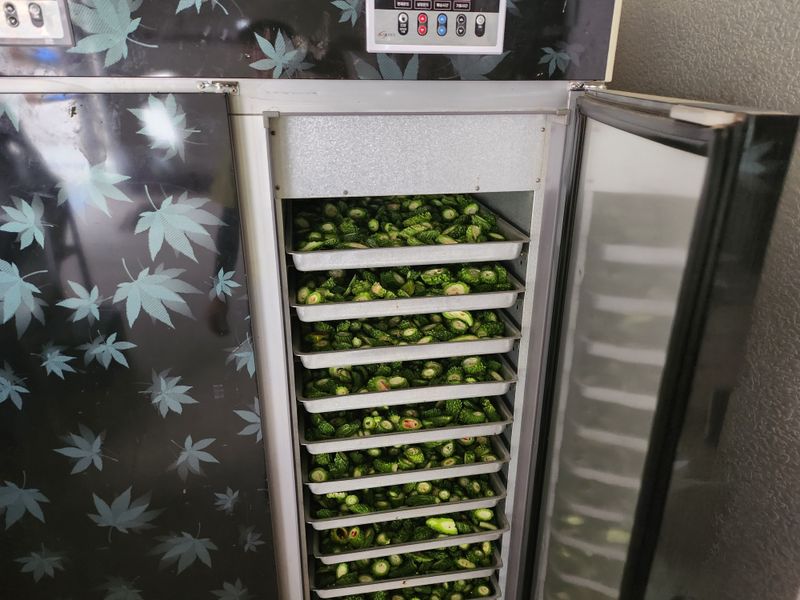 임재광님의 장터 판매 상품 [건여주 1kg] 첨부 사진