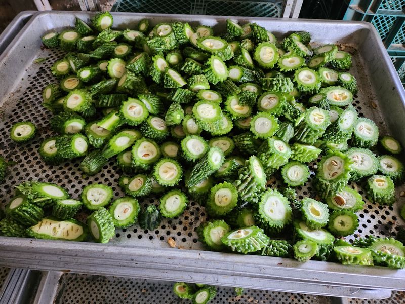 임재광님의 장터 판매 상품 [건여주 1kg] 첨부 사진