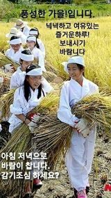 팜모닝 윷놀이 끝! 어떠셨나요?·참여글 게시글 이미지