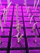 팜모닝 자유주제·자유게시판 게시글 이미지