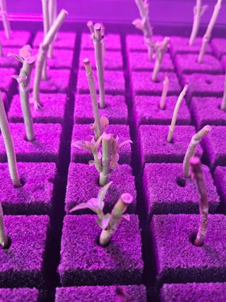 박영섭님의 자유주제 · 자유게시판 작성글 사진