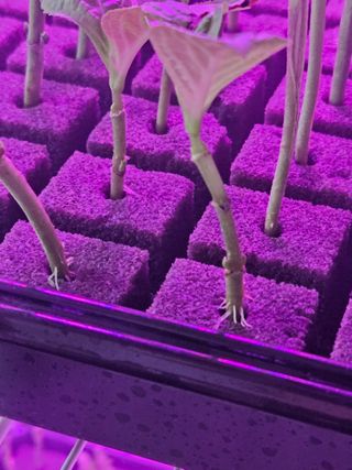 박영섭님의 자유주제 · 자유게시판 작성글 사진