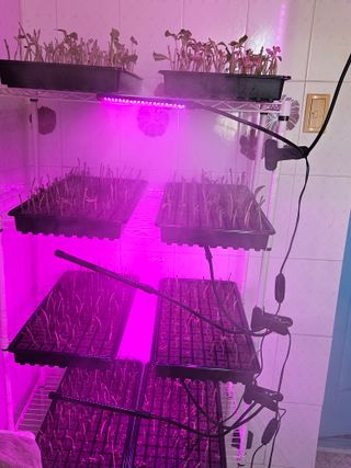 박영섭님의 자유주제 · 자유게시판 작성글 사진