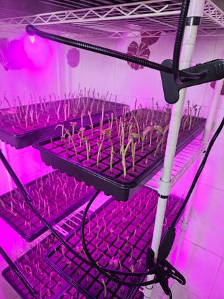 박영섭님의 자유주제 · 자유게시판 작성글 사진