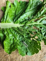 팜모닝 배추·병해충상담 게시글 이미지