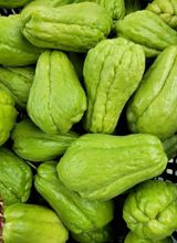 팜모닝 · 게시글 이미지