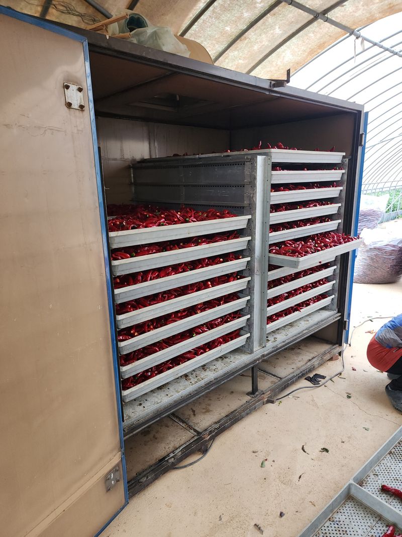 김윤수님의 장터 판매 상품 [2023년 햇고추가루 팜니다 ] 첨부 사진