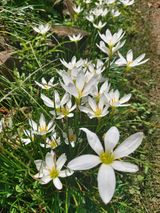 팜모닝 자유주제·건의해요 게시글 이미지