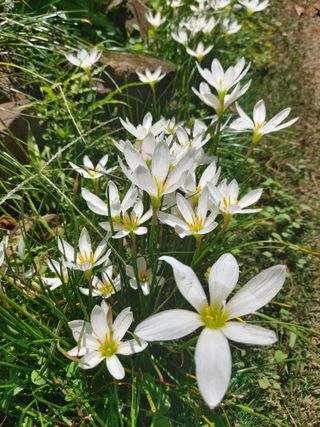 얼큰이님의 자유주제 · 건의해요 작성글 사진