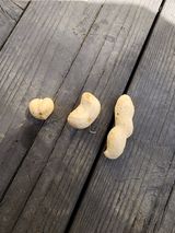 팜모닝 기타작물·자유게시판 게시글 이미지