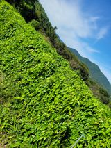 팜모닝 자유주제·자유게시판 게시글 이미지