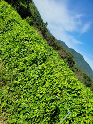 사과농사님의 자유주제 · 자유게시판 작성글 사진