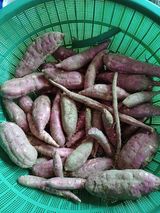 팜모닝 자유주제·자유게시판 게시글 이미지