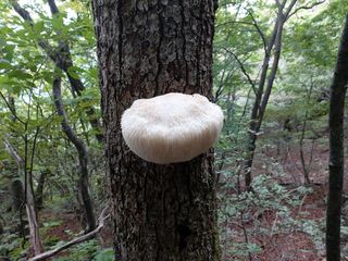 강미화님의 기타작물 · 자유게시판 작성글 사진