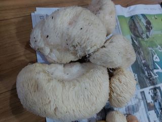 강미화님의 기타작물 · 자유게시판 작성글 사진