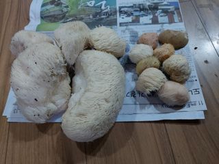 강미화님의 기타작물 · 자유게시판 작성글 사진