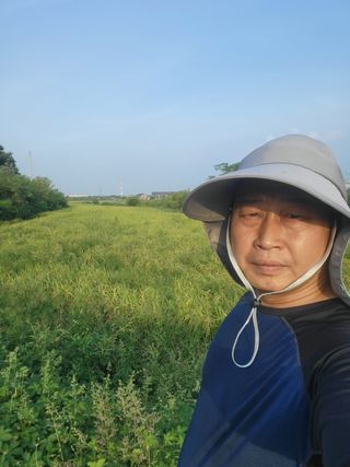 로만아빠님의 벼 · 영농일지 작성글 사진