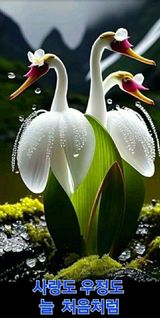 팜모닝 윷놀이 끝! 어떠셨나요?·참여글 게시글 이미지