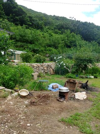 만날재 벌지기님의 상추 · 자유게시판 작성글 사진