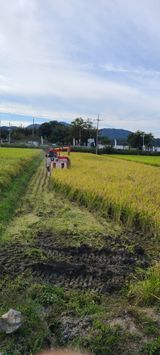 팜모닝 우리동네·동네정보 게시글 이미지