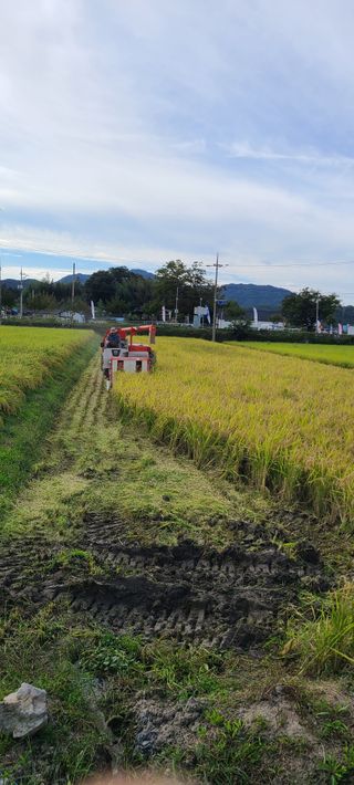 정희조님의 우리동네 · 동네정보 작성글 사진