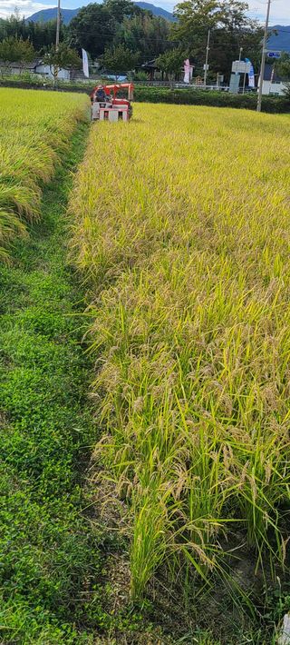 정희조님의 우리동네 · 동네정보 작성글 사진