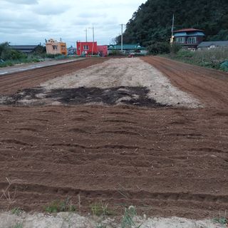 osm님의 우리동네 · 동네수다 작성글 사진