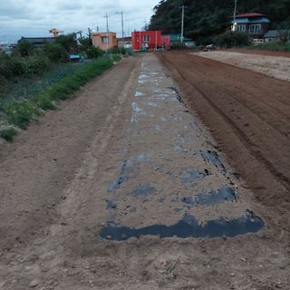 osm님의 우리동네 · 동네수다 작성글 사진