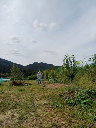 김 연님의 윷놀이 끝! 어떠셨나요? · 참여글 작성글 사진