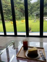 팜모닝 두릅·일상 게시글 이미지