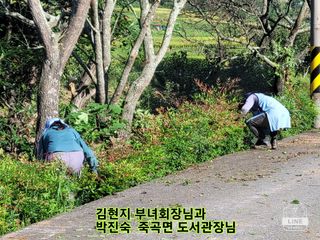 조용길님의 우리동네 · 동네자랑 작성글 사진