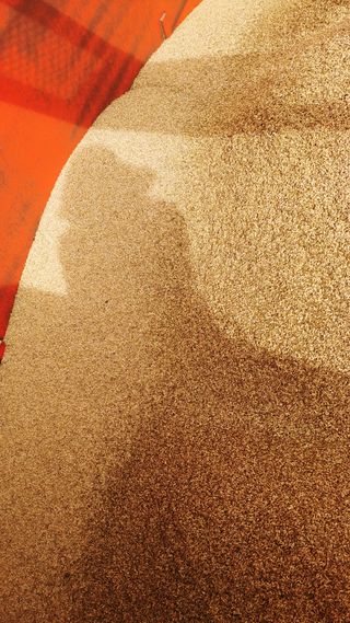 이복길님의 벼 · 영농일지 작성글 사진