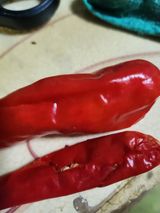 팜모닝 윷놀이 끝! 어떠셨나요?·참여글 게시글 이미지