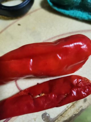 블루베리20834님의 윷놀이 끝! 어떠셨나요? · 참여글 작성글 사진