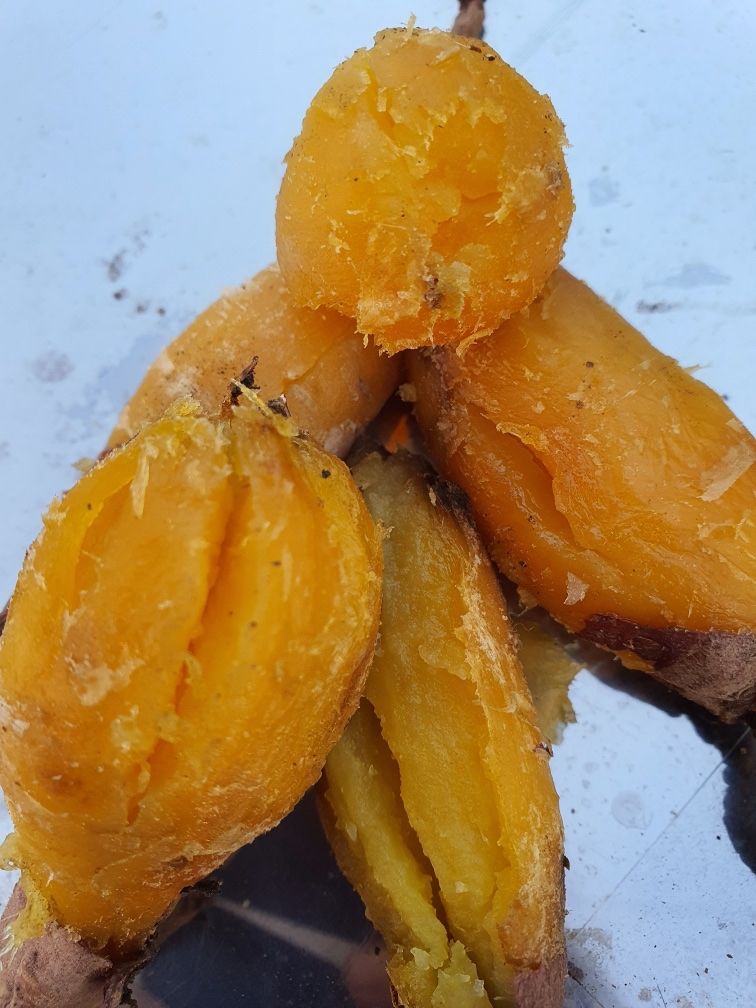 윤희순님의 장터 판매 상품 [23년 햇땅콩, 피땅콩, 볶음땅콩, 꿀고구마 /추석전 마지막 배송!!] 첨부 사진