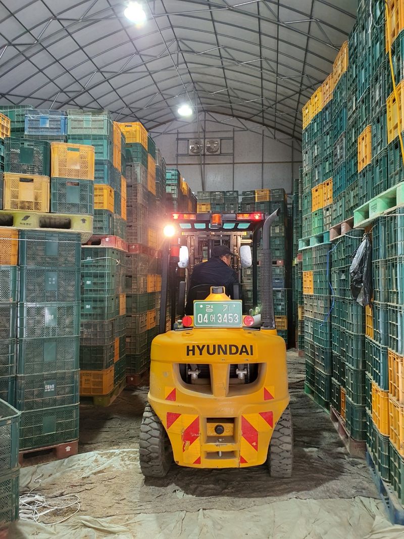 윤희순님의 장터 판매 상품 [23년 햇땅콩, 피땅콩, 볶음땅콩, 꿀고구마 /추석전 마지막 배송!!] 첨부 사진