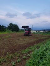 팜모닝 기타작물·병해충상담 게시글 이미지