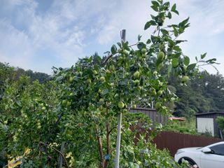 땅땅님의 기타작물 · 자유게시판 작성글 사진