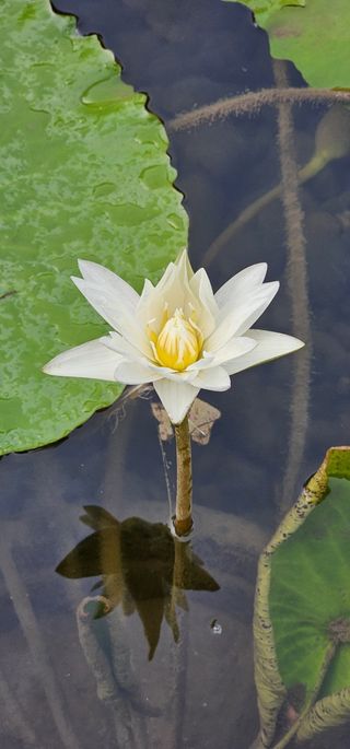 달방구님의 자유주제 · 자유게시판 작성글 사진