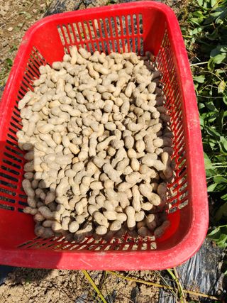 동산에살으리.님의 자유주제 · 자유게시판 작성글 사진