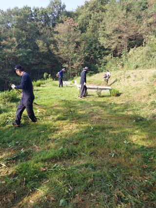 승진포도원님의 윷놀이 끝! 어떠셨나요? · 참여글 작성글 사진