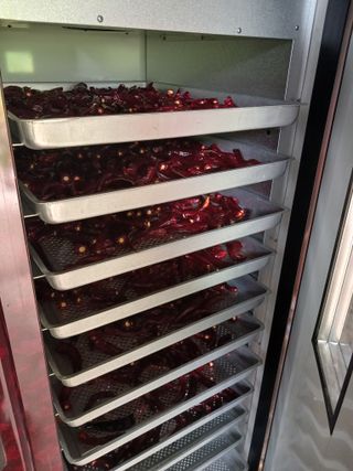 알 수 없음님의 우리동네 · 동네수다 작성글 사진