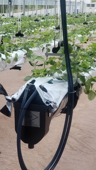 비옥토님의 자유주제 · 자유게시판 작성글 사진