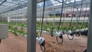 비옥토님의 자유주제 · 자유게시판 작성글 사진