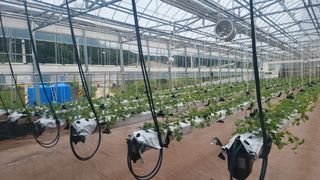 비옥토님의 자유주제 · 자유게시판 작성글 사진