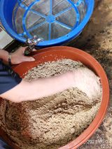 팜모닝 참깨·자유게시판 게시글 이미지